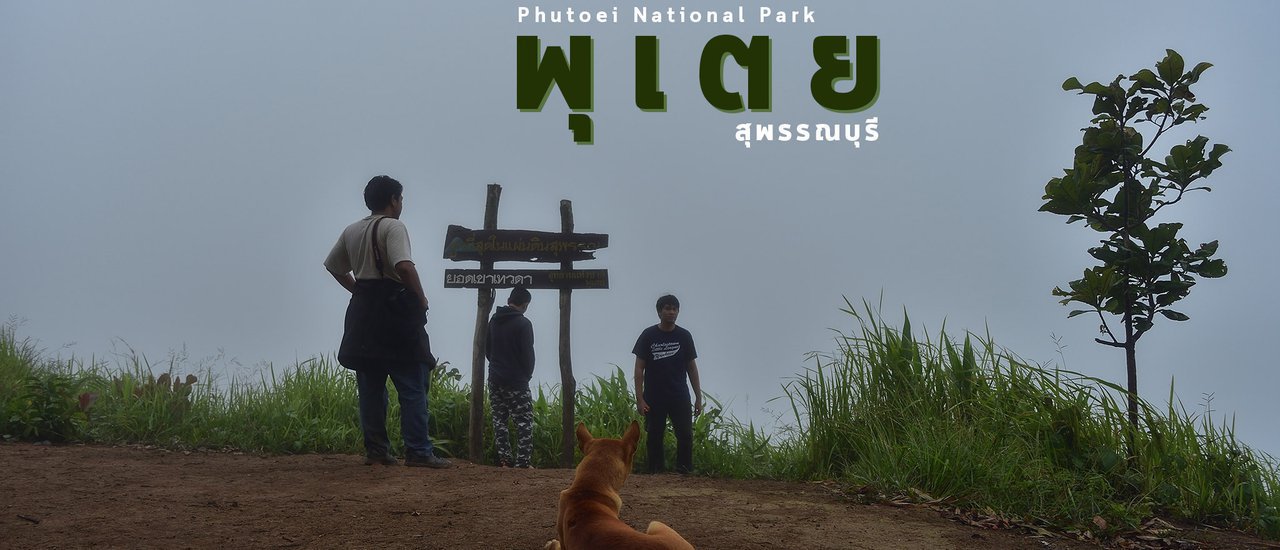 cover ไม่กี่บาท | พุเตย ใกล้แค่นี้ โบกรถไปก็ได้