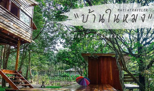 Cover บ้านในป่า "บ้านในหมง" หลงรักเลย...