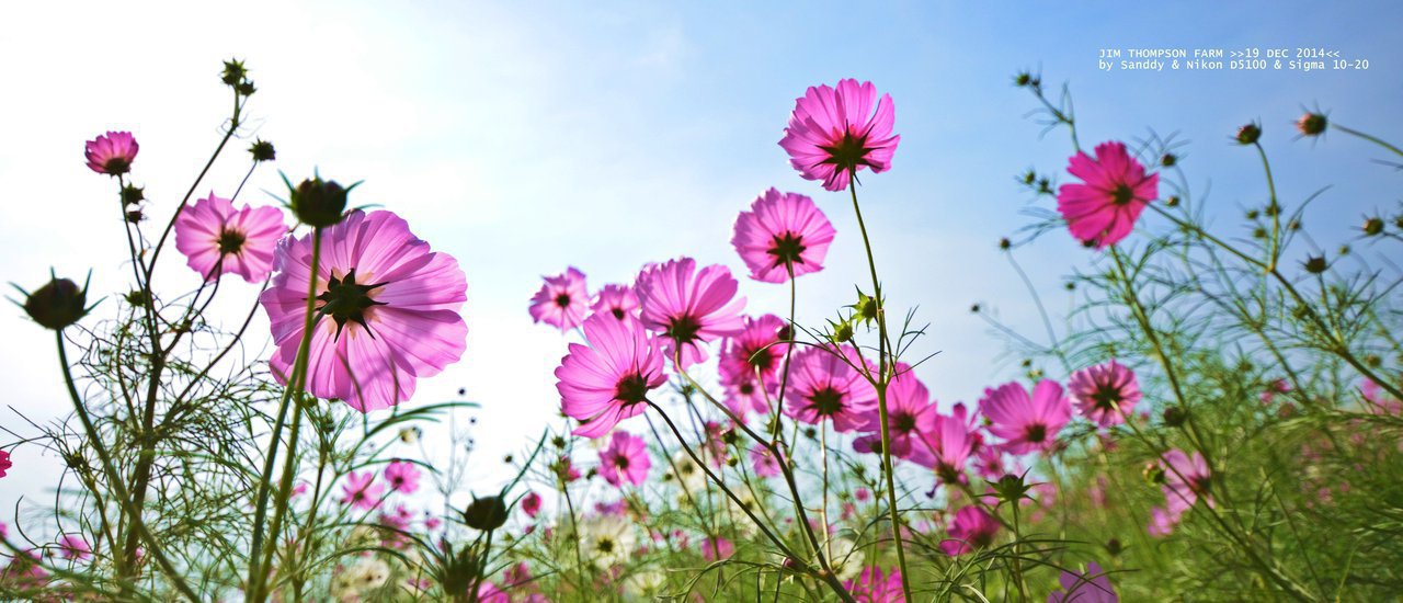 cover 9 ที่เที่ยวรับลมหนาว (ไม่หนาวก็ไปได้นะคะ)