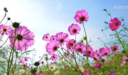 cover 9 ที่เที่ยวรับลมหนาว  (ไม่หนาวก็ไปได้นะคะ)