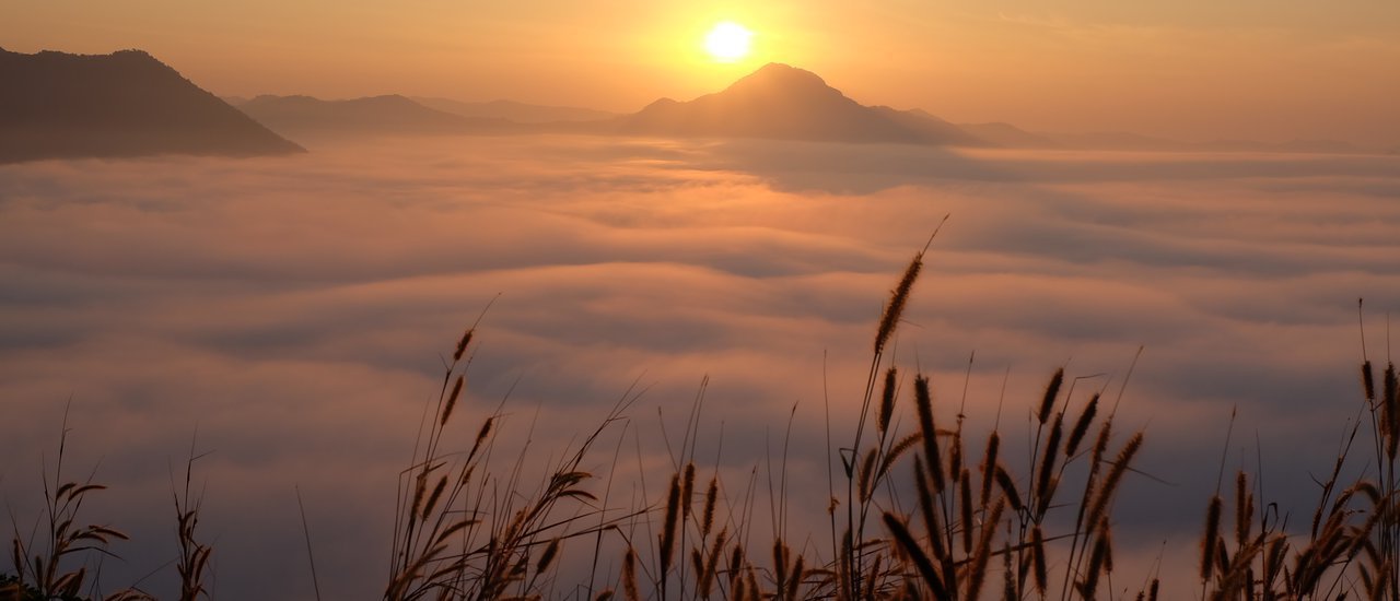 cover ทริปนี้ใช่ "เลย"