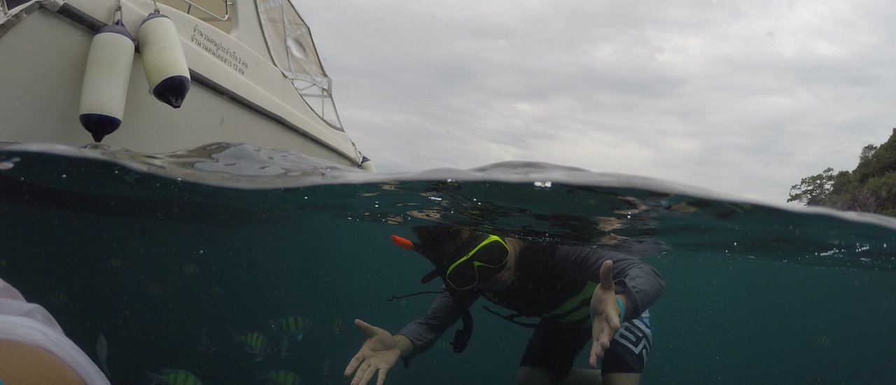 cover Maiton Island - ลืม(ภู)เขาซักพักแล้วมาทิ้งรักที่ไม้ท่อน