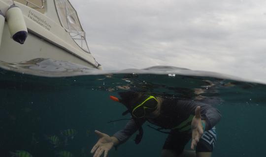 cover Maiton Island - ลืม(ภู)เขาซักพักแล้วมาทิ้งรักที่ไม้ท่อน