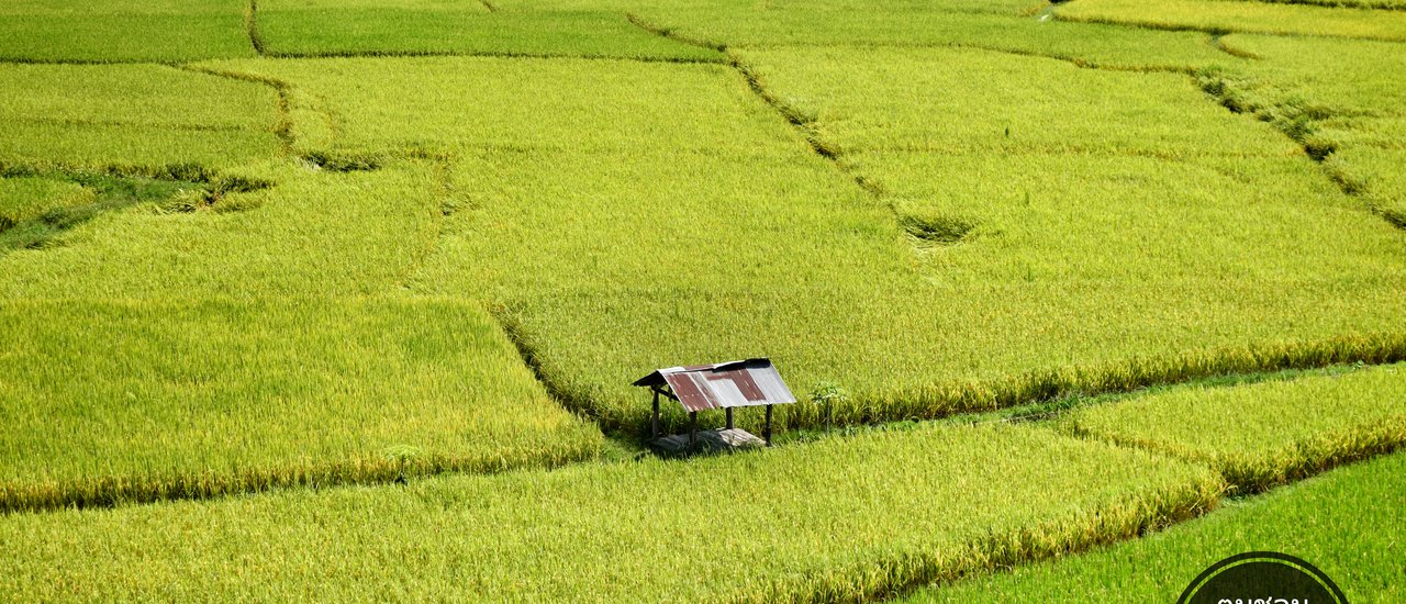 cover ออกไป Slow Life..ที่ "น่าน" 2 วัน 1 คืน ด้วยงบ 1,500 บาท กันเถอะ!! (กางเต๊นท์ที่ดอยเสมอดาว)