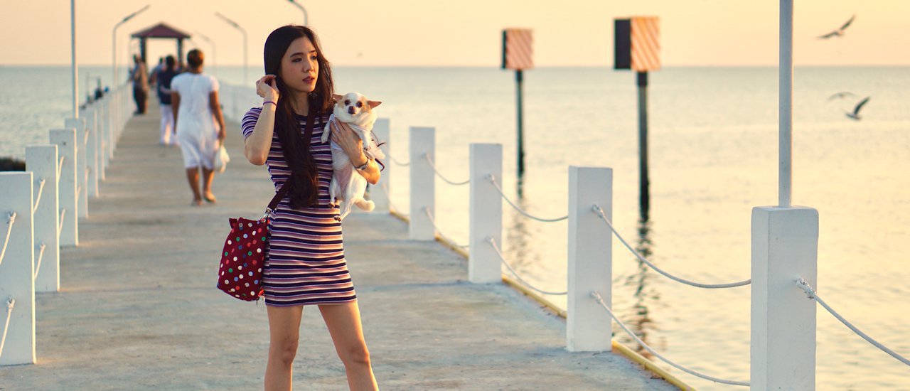 cover ดูนกนางนวล ที่ "คลองตาก๊ก" ตาก๊กคือใคร? แล้วไหนล่ะคลอง?