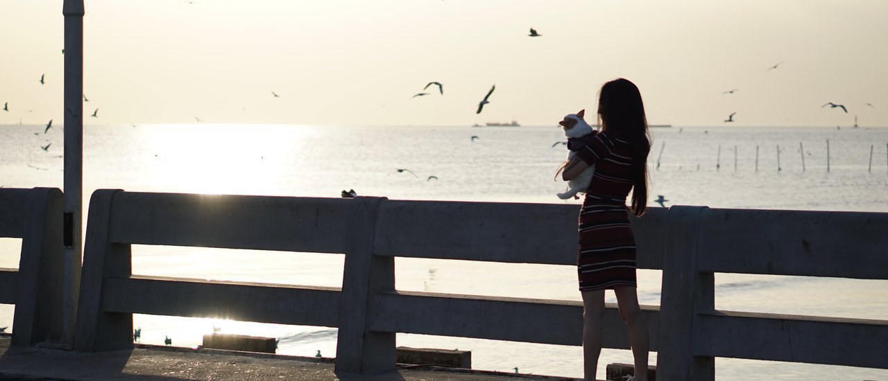 cover บางปู มันดีต่อใจ