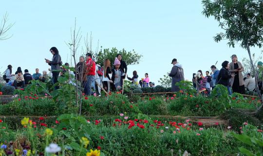 Cover ม่อนแจ่ม....มากินลมชมวิว...