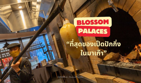 Cover เป็ดปักกิ่ง ครัวเปิดโชว์เตาอบเป็ดที่สั่งทำขึ้นพิเศษ "Blossom palaces...