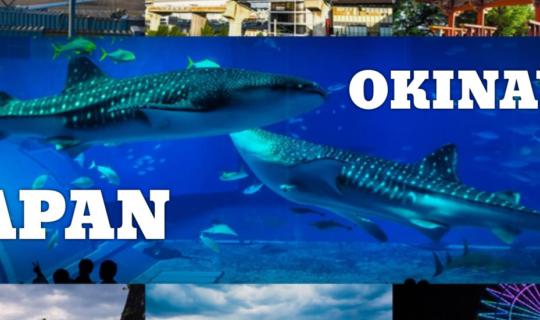 Cover << หนาวนี้ >>เมื่อฉันไปเยือนโอกินาวา แดนใต้สุดของญี่ปุ่น I...