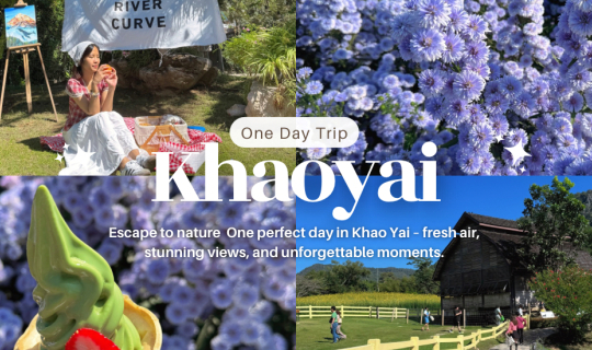 Cover One Day Trip เขาใหญ่ ส่งท้ายปี อากาศเย็น ดอกไม้สวย...