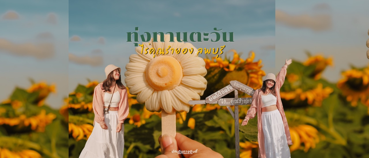 cover ทุ่งทานตะวัน ไร่คุณรำยอง ลพบุรี