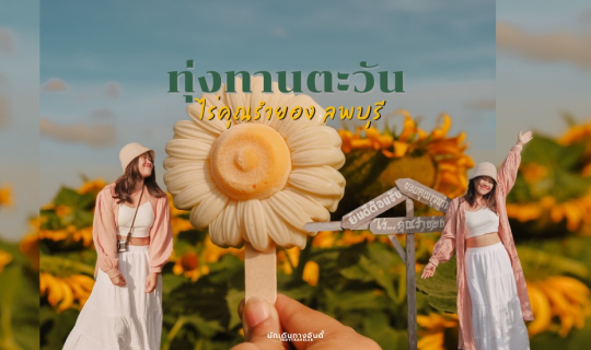 Cover ทุ่งทานตะวัน ไร่คุณรำยอง ลพบุรี...