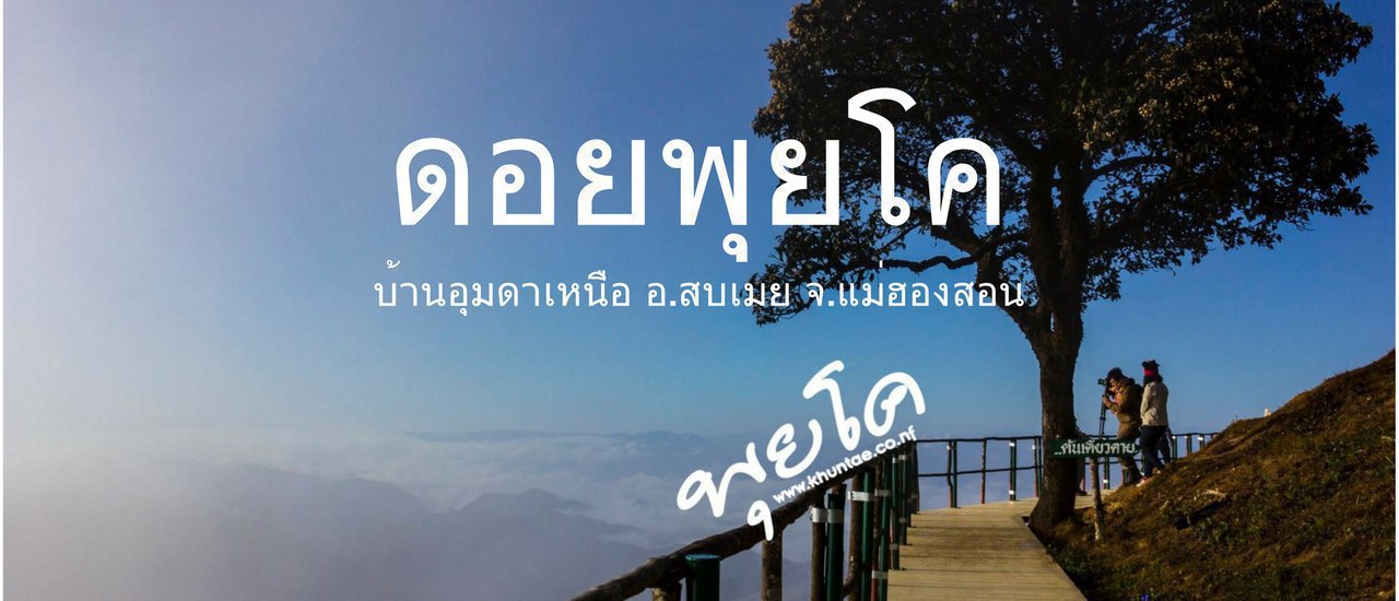 cover Into the FOG at Doi Puico... and Breathe in Fresh Pure Air (Doi Puico, Ban Um Da Nuea - Sob Mei)