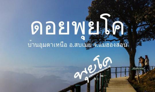 cover Into the FOG at Doi Puico... and Breathe in Fresh Pure Air (Doi Puico, Ban Um Da Nuea - Sob Mei)