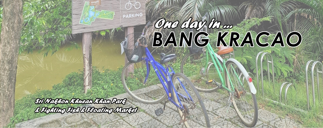 cover ONE DAY in BANG KRACAO