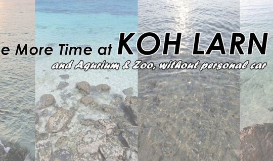 Cover One More Time at KOH LARN, and Aqurium & Zoo...
