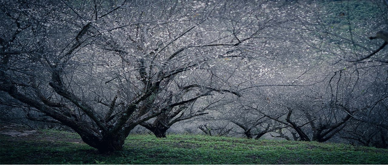 cover พักกาย พักใจ หนีร้อนจากเมืองกรุง มุ่งสู่ดินแดนแห่งขุนเขา....