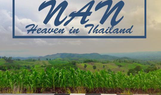 cover ครั้งเดียวมันไม่พอ น่าน..นะสิ