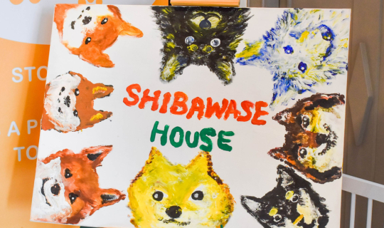Cover ปักหมุดพาไปเที่ยว Shibawase House คาเฟ่หมาชิบะ ย่านหัวลำโพง...