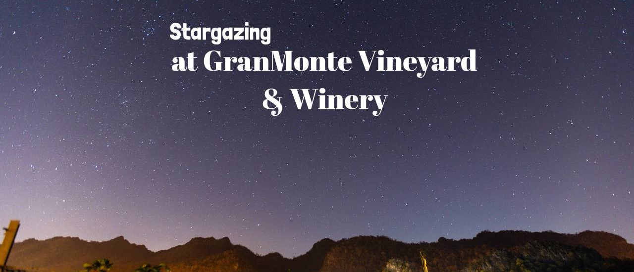 cover เปิดประสบการณ์พักผ่อนท่ามกลางไร่องุ่น GranMonte Vineyard and Winery สุดชิล เขาใหญ่ นครราชสีมา