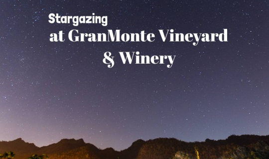 cover เปิดประสบการณ์พักผ่อนท่ามกลางไร่องุ่น GranMonte Vineyard and Winery สุดชิล เขาใหญ่ นครราชสีมา