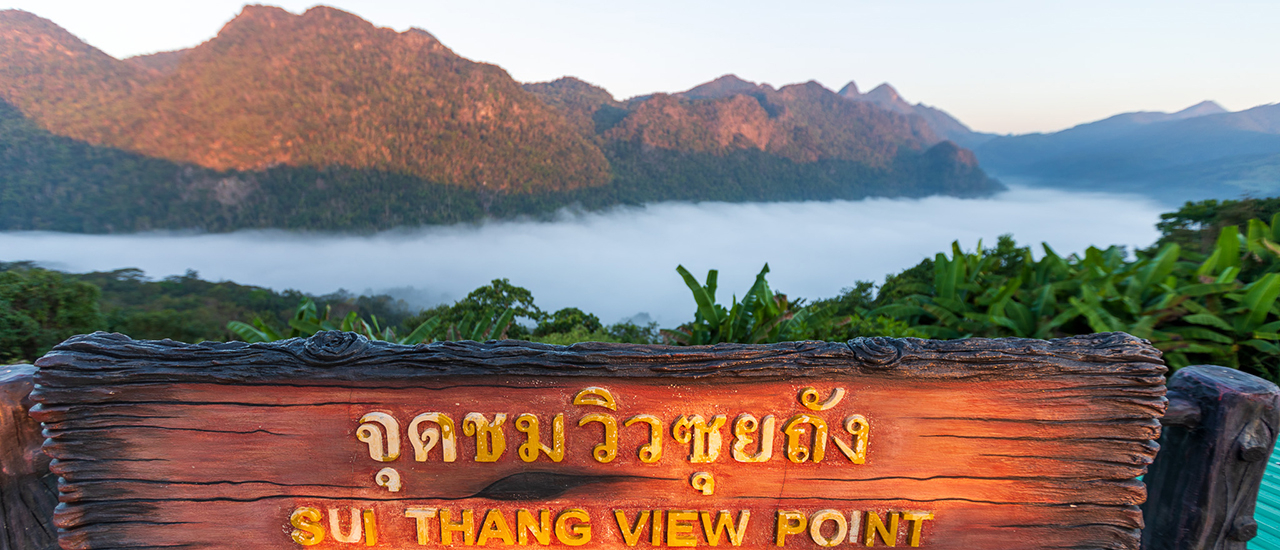 cover ลานกางเต้นท์ซุยถัง จุดชมทะเลหมอกติดถนน ชมได้ตั้งแต่ 4 ทุ่ม จนถึง 9 โมงเช้า