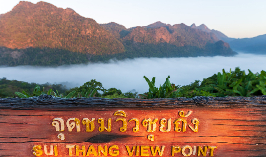 Cover ลานกางเต้นท์ซุยถัง จุดชมทะเลหมอกติดถนน ชมได้ตั้งแต่ 4 ทุ่ม จนถึง 9 โ...