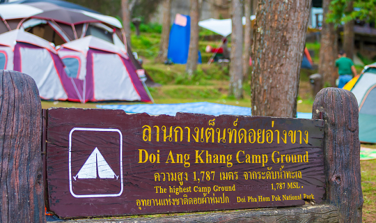 cover "ม่อนสน" ลานกางเต้นท์สุดฮิต สุดครึกครื้นของคนมาเที่ยวอ่างขาง