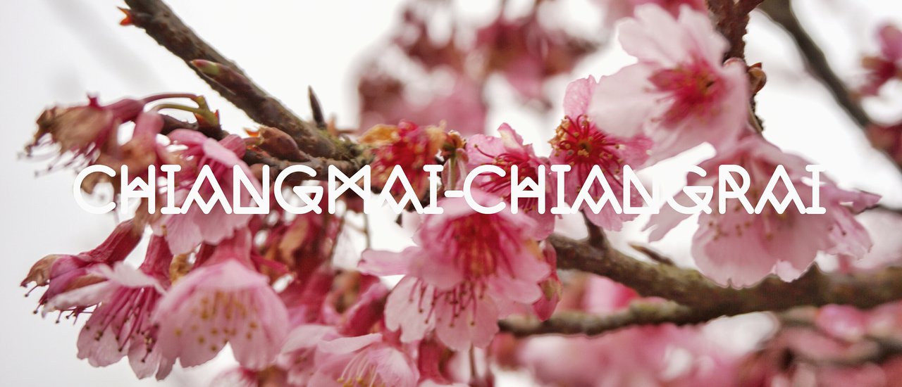 cover EP.5 ::: "อิ_อก หมอกมา" #JNLostInChiangMai-ChiangRai2nd