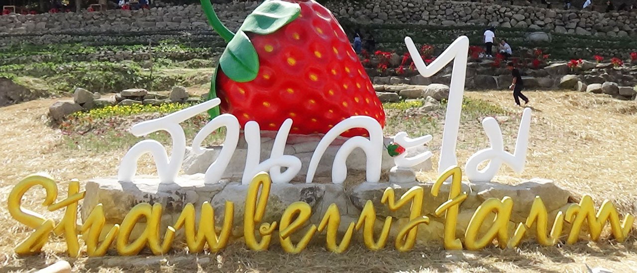 cover เที่ยว สวนละไม จังหวัดระยอง ในบรรยากาศทามกลางขุนเขา มีทุ่งดอกไม้ สีสันสวยงาม บรรยากาศดี