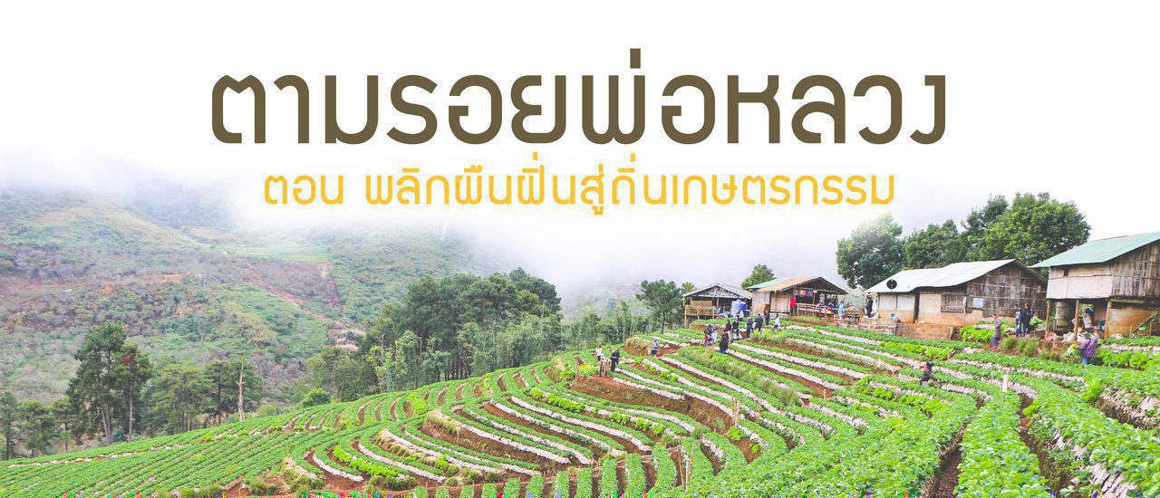 cover เที่ยวเชียงใหม่ | ตามรอยพ่อหลวง ตอน พลิกผืนฝิ่นสู่ถิ่นเกษตรกรรม