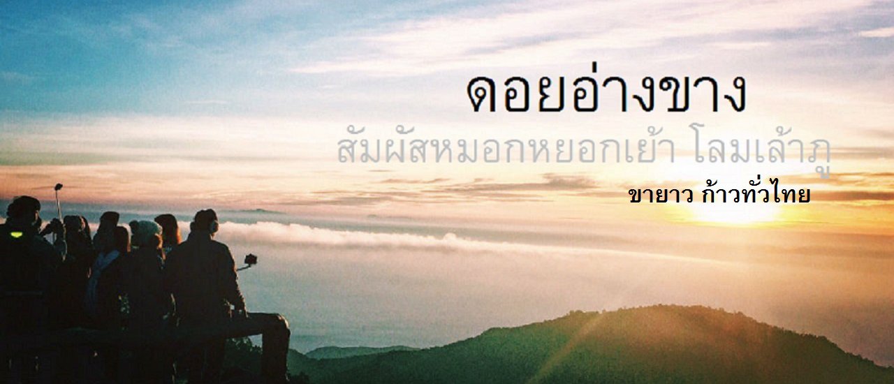 cover ทิ้งชีวิตเมืองกรุงไปนอนท้าความฟิน ที่ " อ่างขาง " ขายาวก้าวทั่วไทย