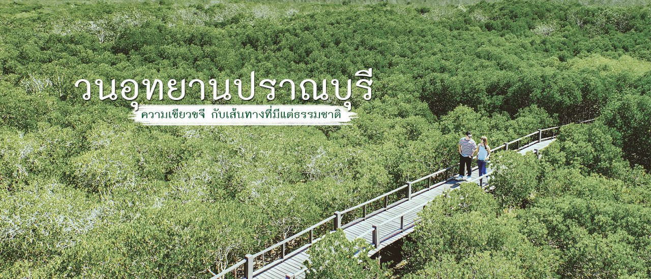cover ไปมั้ย...ไปกัน 🌳 วนอุทยานปราณบุรี 🌳 ความเขียวขจี กับเส้นทางที่มีแต่ธรรมชาติ