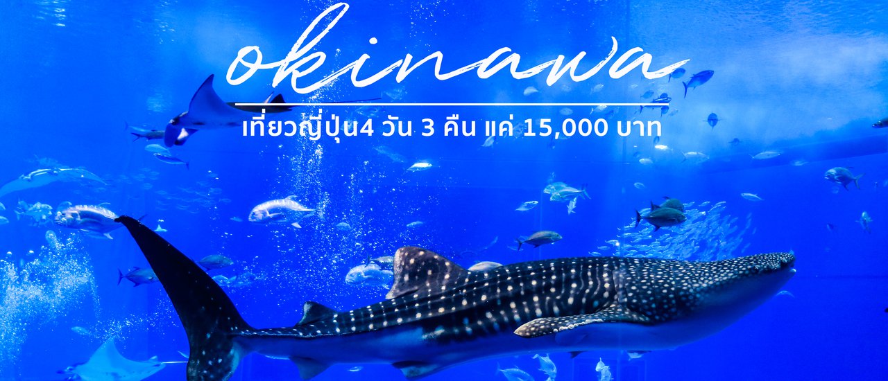 cover Road trip Okinawa | เที่ยวโอกินาว่า 4 วัน 3 คืน กินดีอยู่ดี งบแค่ 15,000