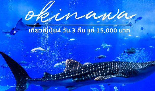cover Road trip Okinawa | เที่ยวโอกินาว่า 4 วัน 3 คืน กินดีอยู่ดี งบแค่ 15,000