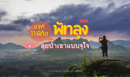 Cover “แจก 11 พิกัด ลุยเขา-ป่า สัมผัสธรรมชาติแบบจุใจ ที่ อ.ศรีนครินทร์ จ.พ...