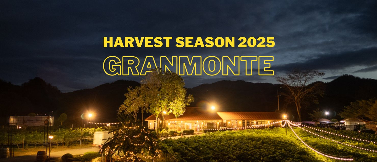 cover เที่ยวเขาใหญ่ ทริปอบอุ่น ฮีลใจ เก็บองุ่น พักผ่อนในไร่ และชมกระบวนการผลิตไวน์ ที่ "Granmonte Vineyard and Winery"