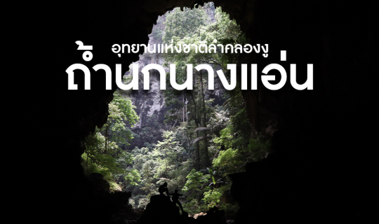 Cover 7 ภูกระดึง ไม่เท่า 1 ลำคลองงู  (ถ้ำนกนางแอ่น) 🐍...