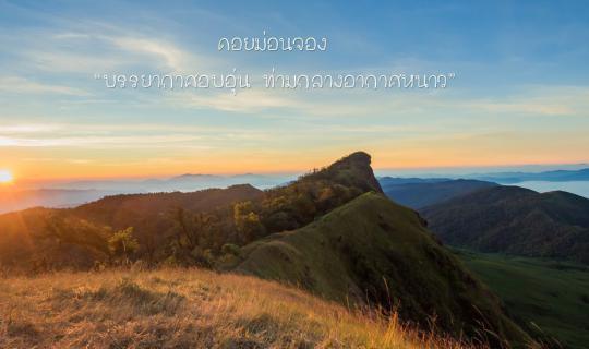 Cover ม่อนจอง บรรยากาศอบอุ่น ท่ามกลางอากาศหนาว...