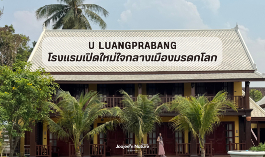 Cover เที่ยวหลวงพระบาง พักที่ไหนดี? รีวิว โรงแรมหรูเปิดใหม่ U Luang Praban...