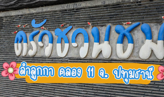 Cover ครัวชวนชม ลำลูกกา คลอง 11...