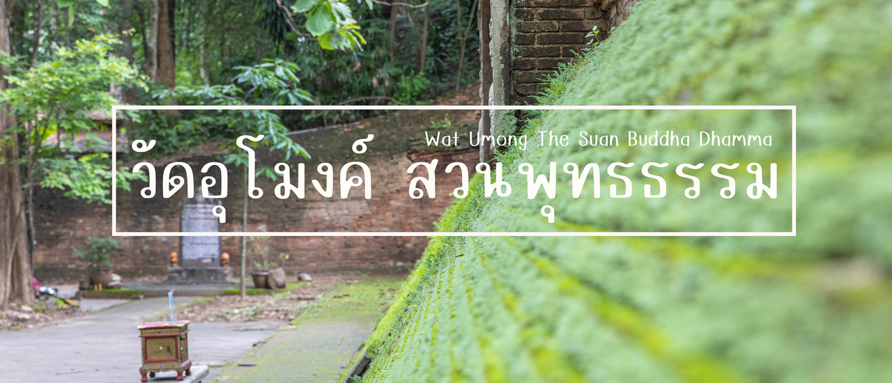 cover วัดอุโมงค์ สวนพุทธธรรม