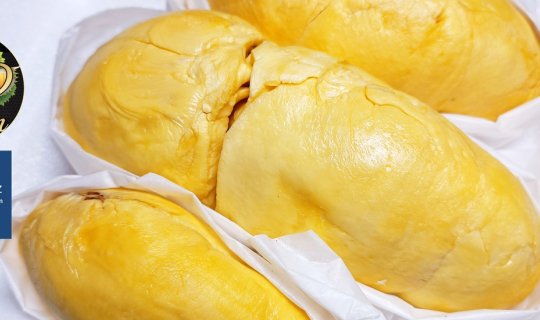 Cover ชิม “นกกระจิบ” ทุเรียนพันธุ์พื้นเมืองของไทยที่ พีพี ทุเรียน สาขาแจ้ง...