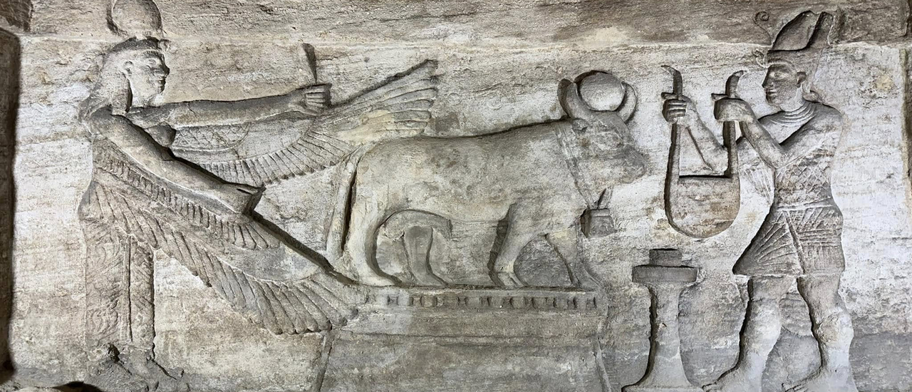 cover EP.1 อียิปต์ — Alexandria: เมืองท่าที่ไม่ได้มีแค่ทะเล (และไม่ได้มาเล่น ๆ!)