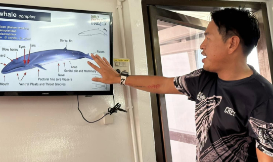 Cover วาฬบรูด้าแห่งอ่าวไทย – วันธรรมดาที่เปลี่ยนโลกของฉันไปตลอดกาล...