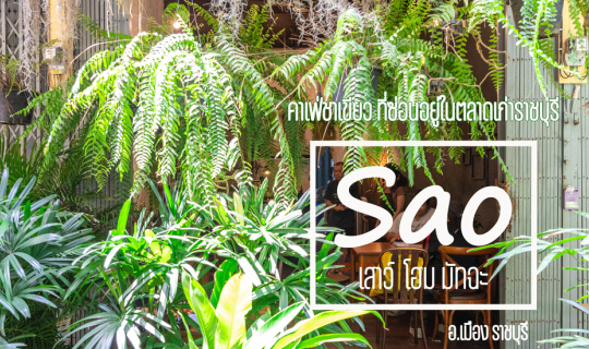 Cover Sao Home Matcha (เสาว์ โฮม มัทฉะ)...