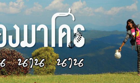 cover ต้องมาโคร น่าน นาน นาน
