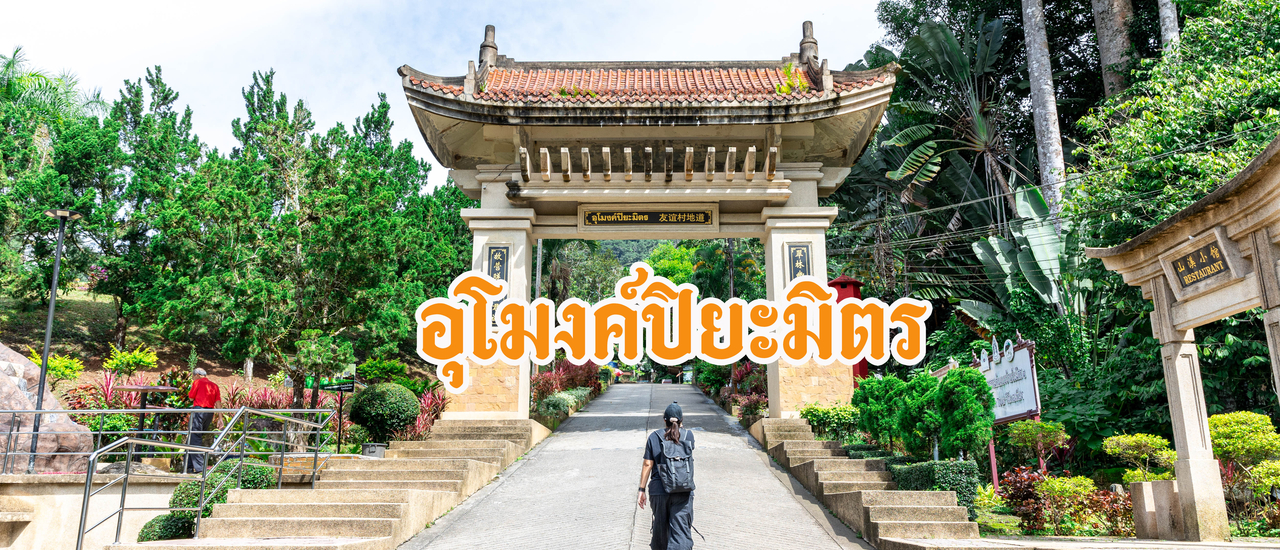 profile cover