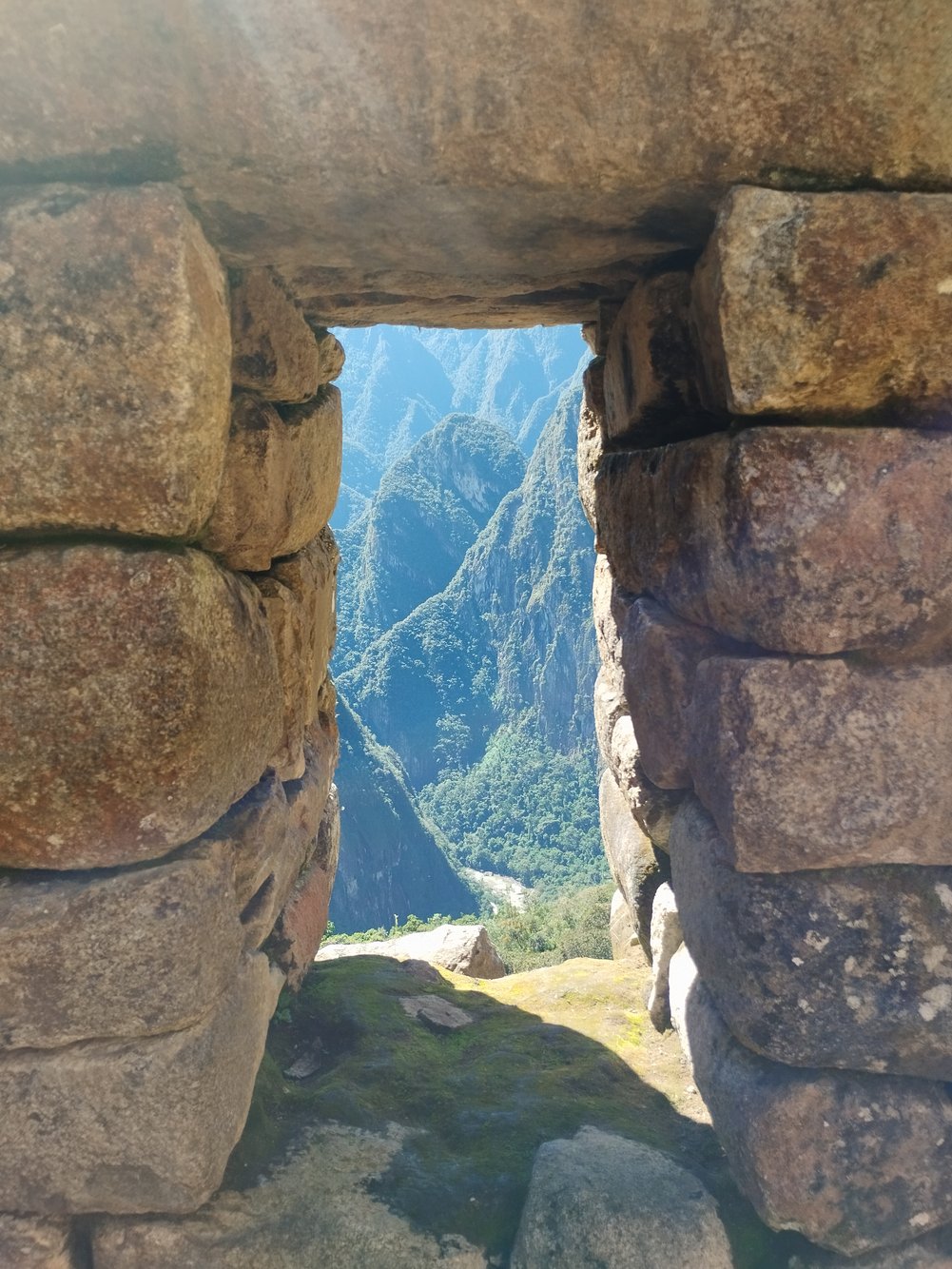 26y9oy31ffnp