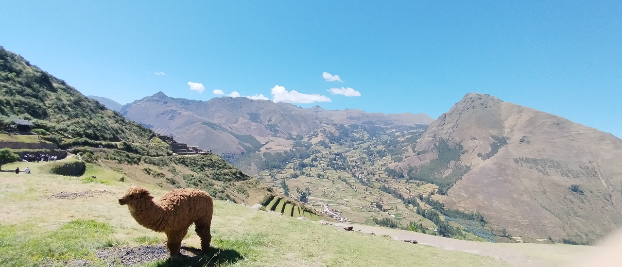 cover ทริปเปรู คนเดียวก็เที่ยวได้ ตอน 5 เช้าไปเย็นกลับ Pisac โบราณสถานอินคาใกล้กุสโก